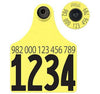 ALLFLEX LARGE BLANK BUTTON Numbered Tag