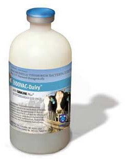 ENDOVAC  DAIRY