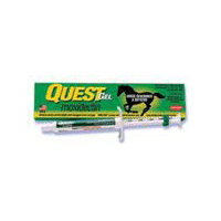 QUEST GEL