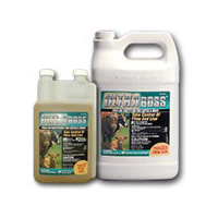 ULTRA BOSS® POUR-ON INSECTICIDE (PERMETHRIN AND PIPERONYL BUTOXIDE)
