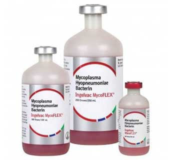 INGELVAC MYCOFLEX®