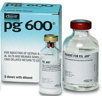 P.G. 600® 25 ML / 5 DOSE   **CURRENTLY OUT OF STOCK**