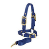 Adjustable Halter with Lead