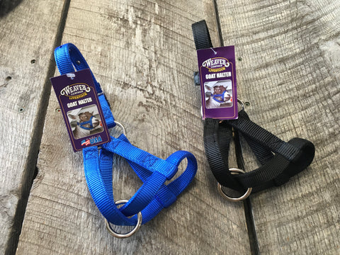 Goat Halter