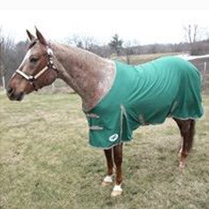 Horse Sense All Around Cotton Sheet